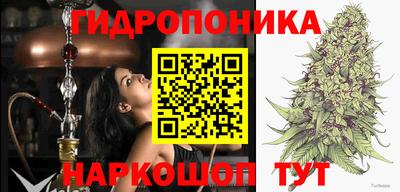 гашик Жуковский