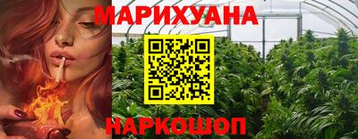 гашик Жуковский