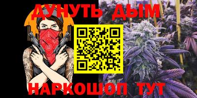 гашик Жуковский