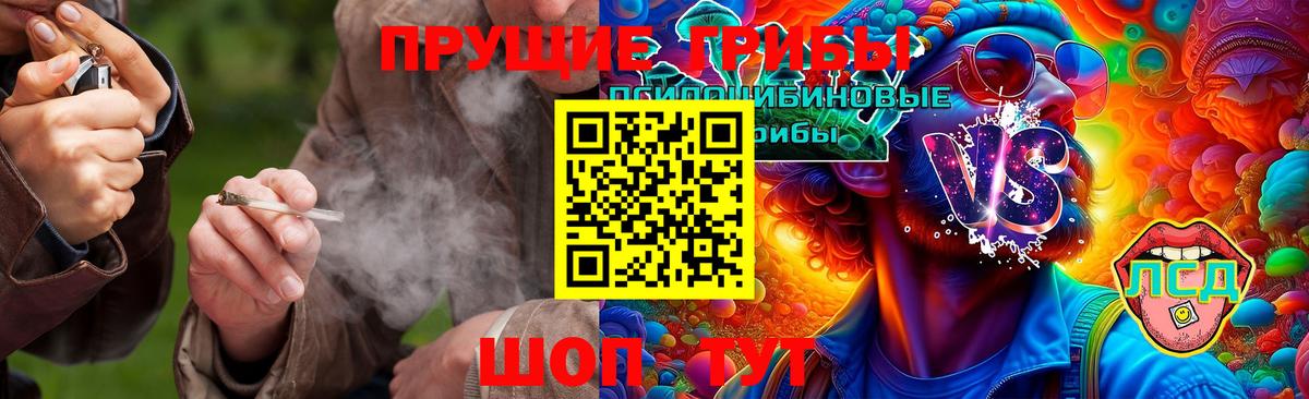 Галлюциногенные грибы Cubensis  где найти наркотики  Люберцы  Галлюциногенные грибы Magic Shrooms  Вход с VPN 